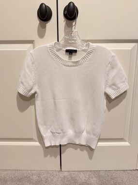 Ann Taylor short sleeve sweater